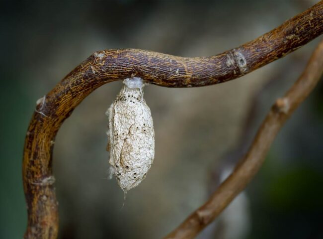 I had no idea I was due to inherit a substantial sum. Sudden wealth puts you in a cocoon; it makes you feel invincible. I thought I was Superman... I was too young and immature to handle such wealth.