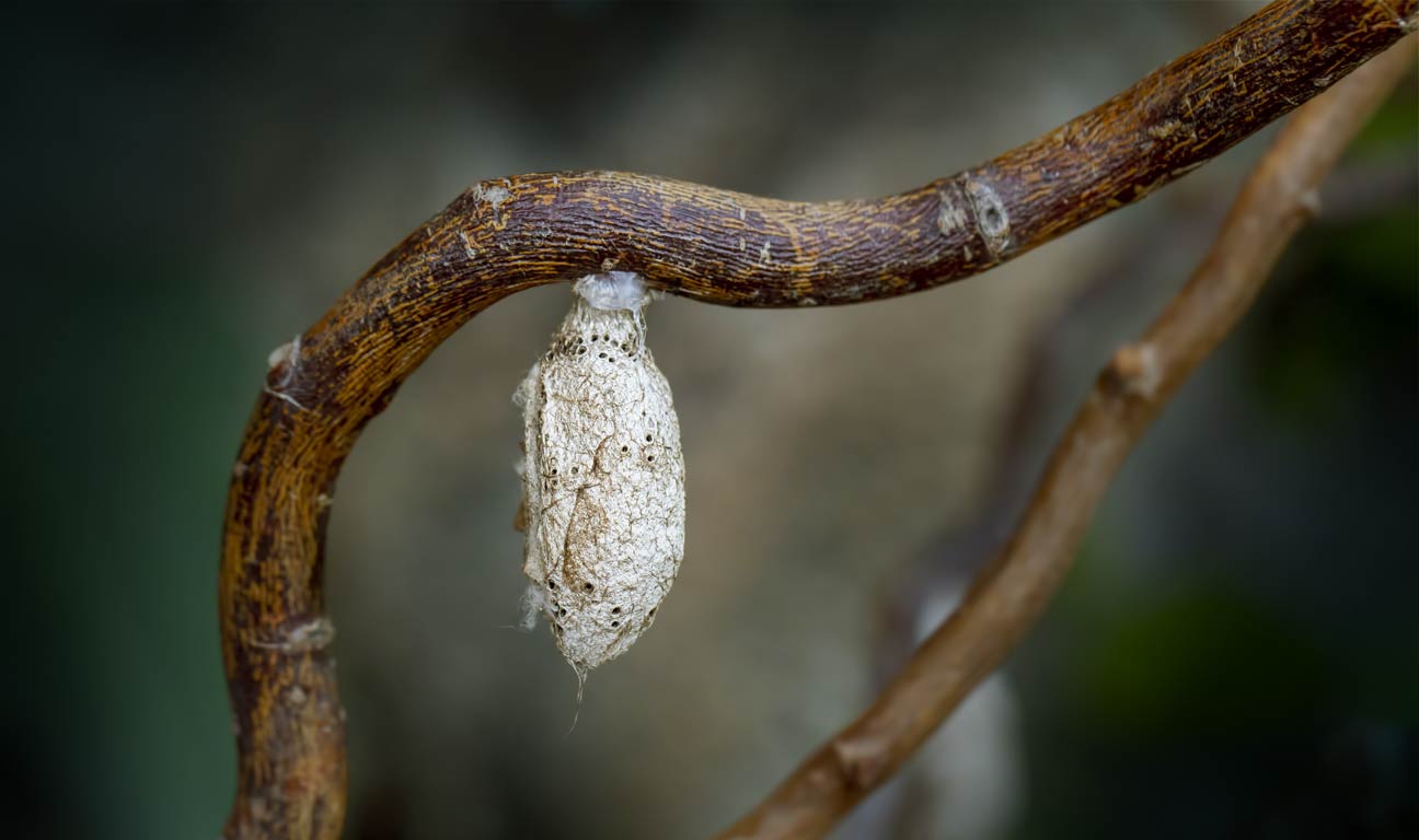 I had no idea I was due to inherit a substantial sum. Sudden wealth puts you in a cocoon; it makes you feel invincible. I thought I was Superman... I was too young and immature to handle such wealth.