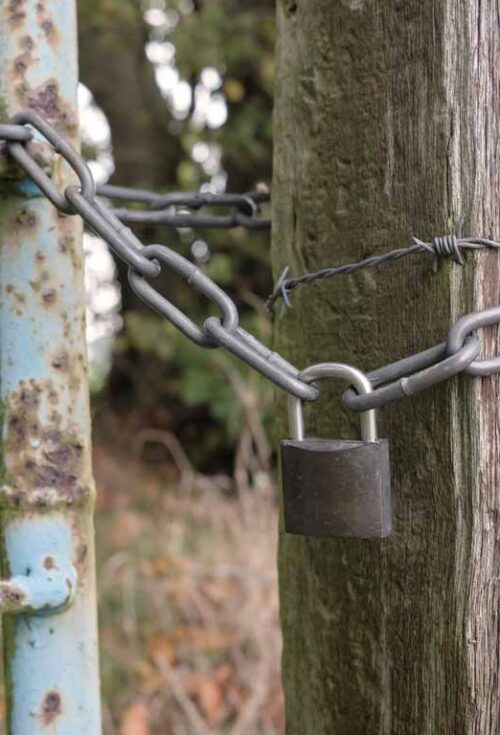 Ottawa Mother's Quest for Late Son's Passwords: An Uncharted Legal Road | Digital Distress | Accessing Online Accounts | Estates Gone Wrong