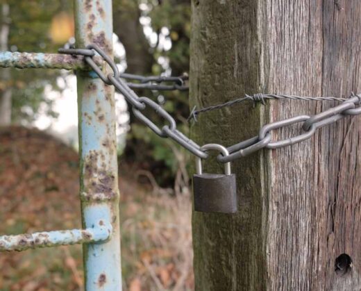Ottawa Mother's Quest for Late Son's Passwords: An Uncharted Legal Road | Digital Distress | Accessing Online Accounts | Estates Gone Wrong