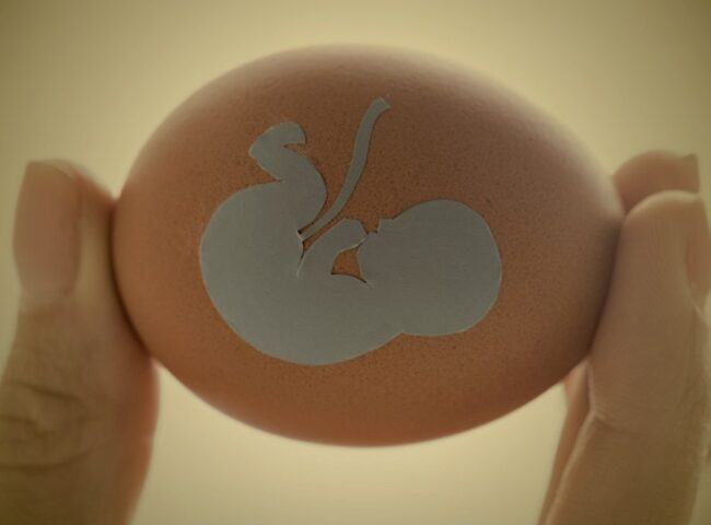 The BC Court of Appeal has confirmed that the removal and use of human reproductive materials (sperm, ova, and embryos) both during one’s life, and after one’s death, requires prior and informed written consent.