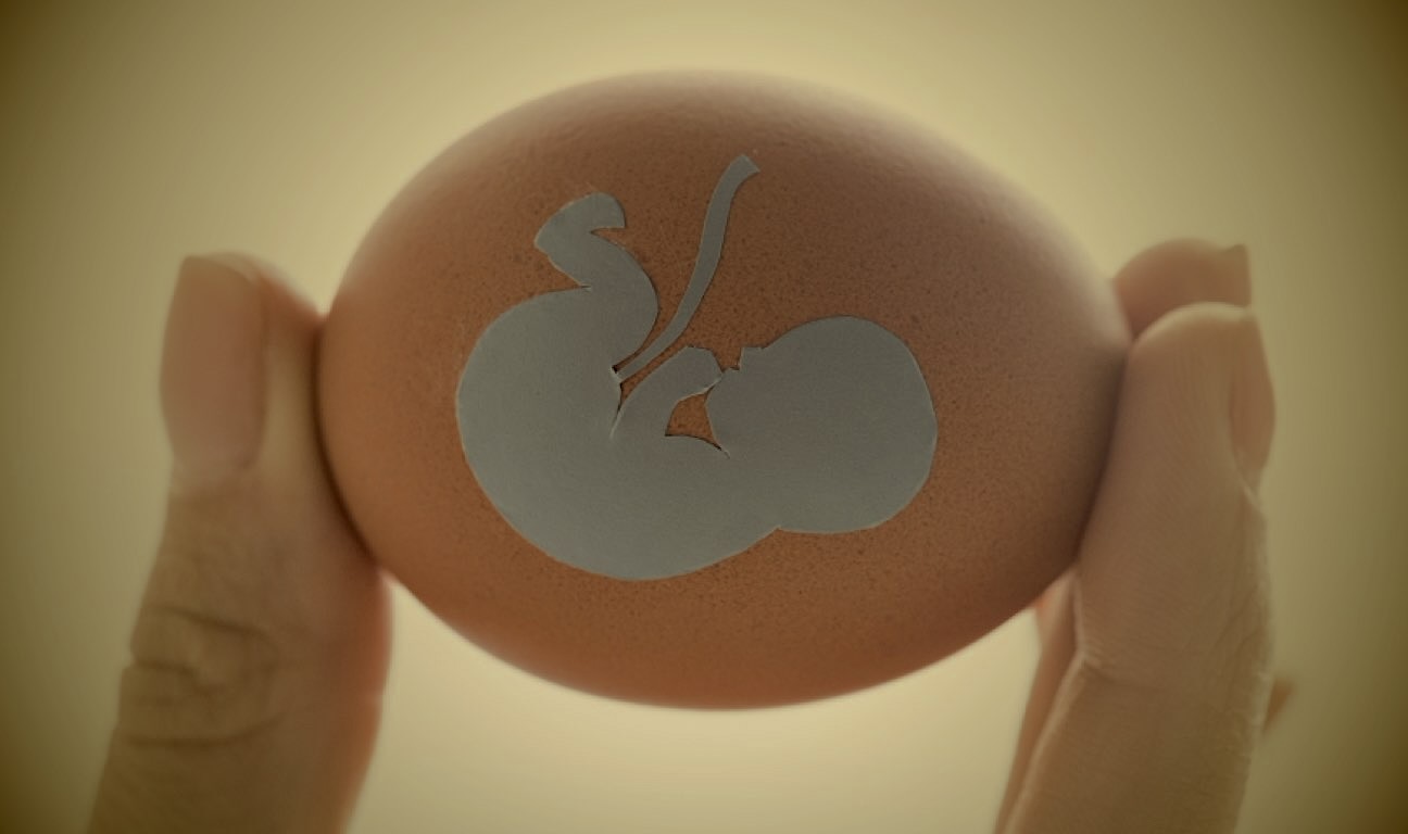 The BC Court of Appeal has confirmed that the removal and use of human reproductive materials (sperm, ova, and embryos) both during one’s life, and after one’s death, requires prior and informed written consent.