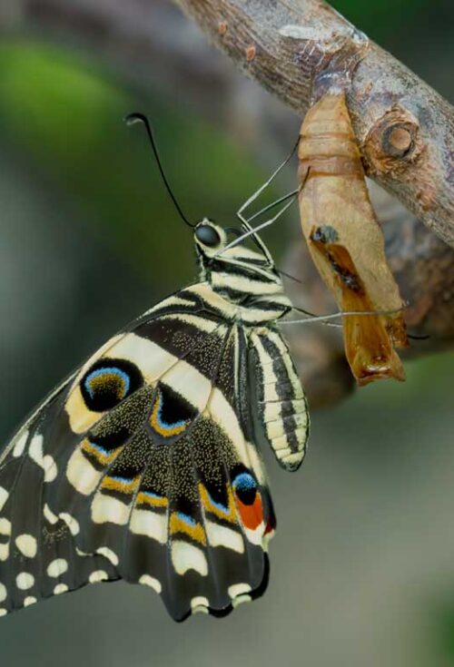 Estate Planning Guidance for Every Stage of Life