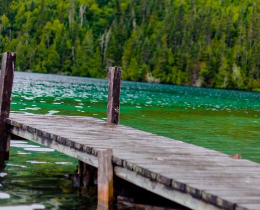 Family Cottage Succession: a Dream or a Nightmare? No matter how much you may intend to keep the property in the family, you should plan for the almost certain inevitability that at some point it will be sold.