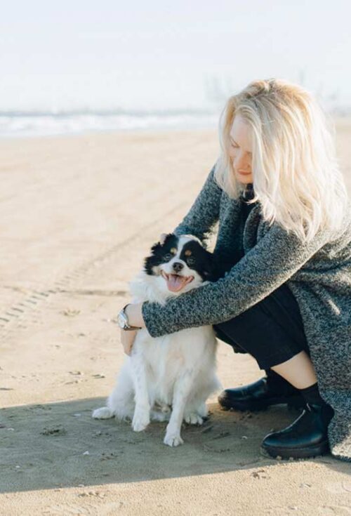 Your Family Pet Deserves a Well Thought Out Transition Plan | Curated Content | Common Mistakes | Estates Gone Wrong