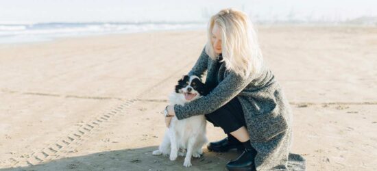 Your Family Pet Deserves a Well Thought Out Transition Plan | Curated Content | Common Mistakes | Estates Gone Wrong