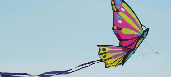 When a Charitable Bequest in a Will Goes Wrong | Curated Content | Charitable Bequests | Estates Gone Wrong