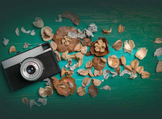 Heirs to an iconic fortune sought out a wealth manager who would assuage their progressive consciences. Now their dispute is exposing dynastic secrets...