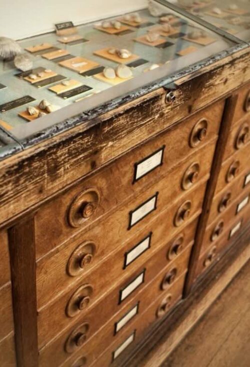 If you have a rare or unusual collection, you need to ensure that it's properly accounted for before you pass away. The most failsafe way of doing this is to include your collection in your estate plan. Working with the right appraiser is key!