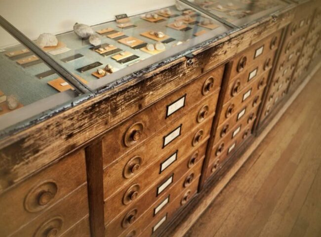 If you have a rare or unusual collection, you need to ensure that it's properly accounted for before you pass away. The most failsafe way of doing this is to include your collection in your estate plan. Working with the right appraiser is key!