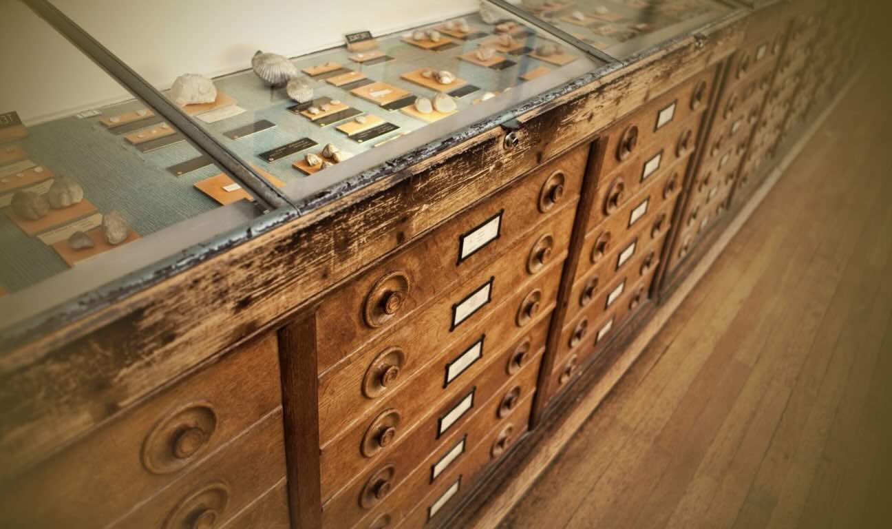 If you have a rare or unusual collection, you need to ensure that it's properly accounted for before you pass away. The most failsafe way of doing this is to include your collection in your estate plan. Working with the right appraiser is key!