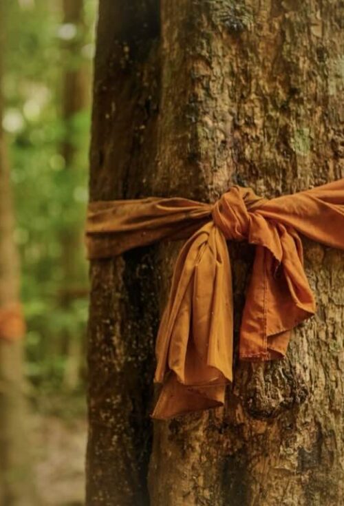 Balancing fairness with religious and cultural customs in estates— The law requires equality between men and women. Following tradition may not stand up in court...