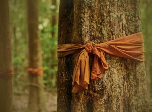 Balancing fairness with religious and cultural customs in estates— The law requires equality between men and women. Following tradition may not stand up in court...
