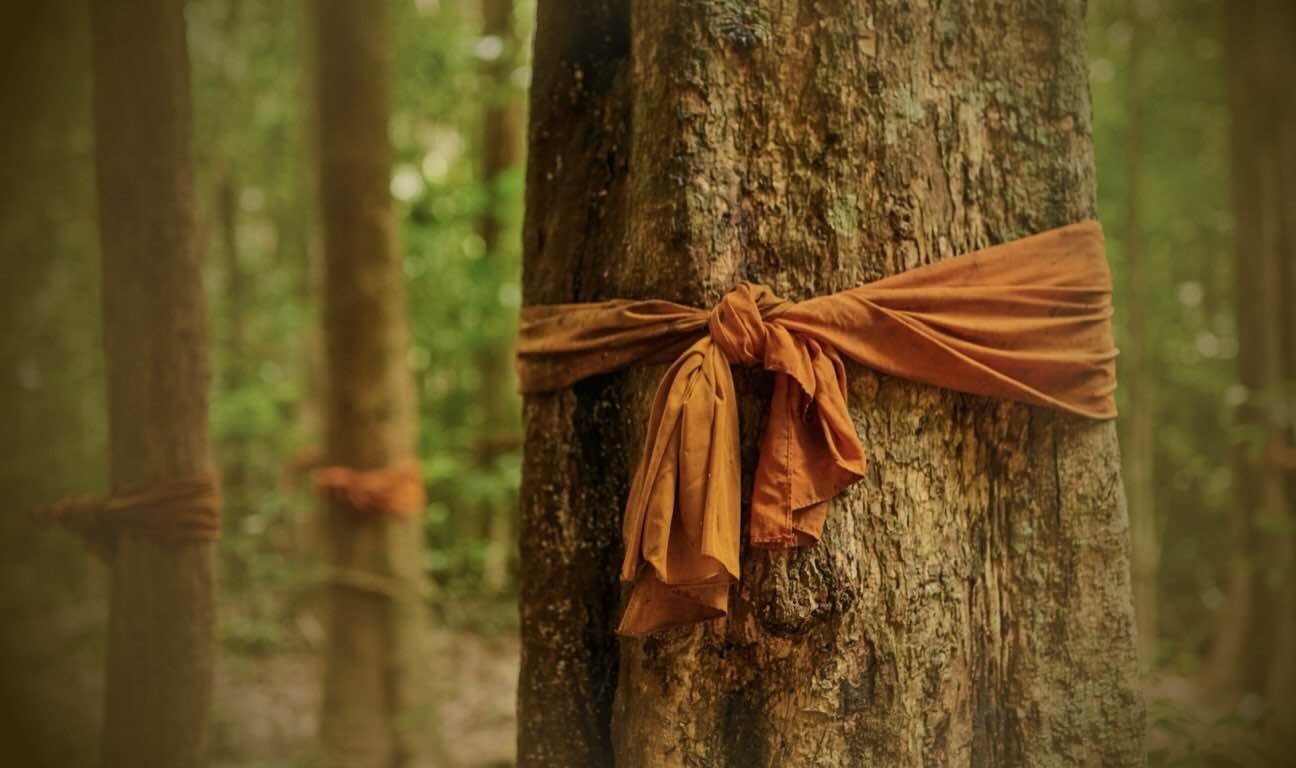 Balancing fairness with religious and cultural customs in estates— The law requires equality between men and women. Following tradition may not stand up in court...