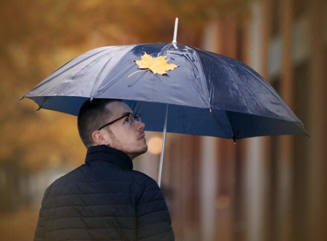 In Canada, estate laws fall under provincial jurisdiction, meaning they can vary from one province to another. Therefore, it’s essential to be familiar with the laws in the province where the estate is located.