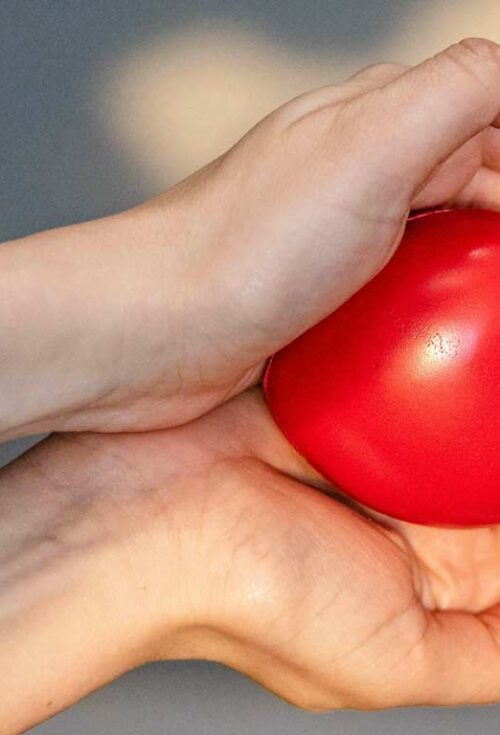 Money left to Heart and Stroke Foundation in Will Allegedly Misappropriated | Curated Content | Charitable Bequests | Estates Gone Wrong