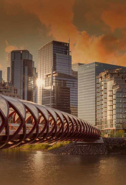 Learn why fiduciary access to digital assets matters and how a new Alberta Act would help facilitate access...