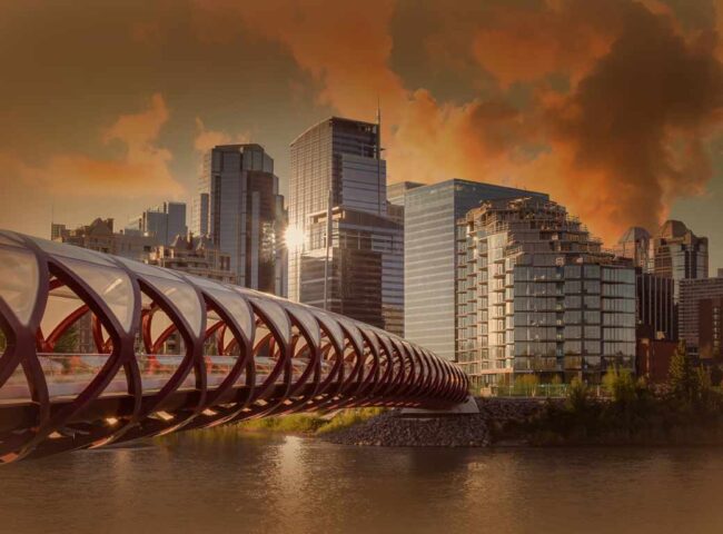 Learn why fiduciary access to digital assets matters and how a new Alberta Act would help facilitate access...