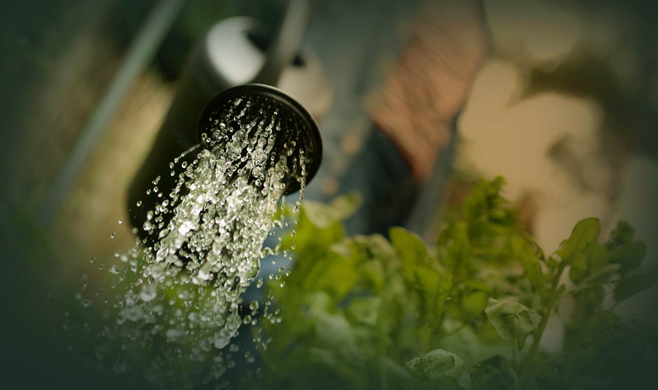 The multibillion-dollar fortune belonging to the reclusive Hermès heir has seemingly vanished months after he promised to donate a large chunk of his colossal inheritance to his gardener.