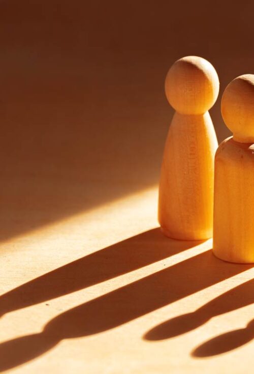 Sibling Rivalry Lands Mother’s Estate in Court | A Cautionary Tale | Family Disputes | Court Battles | Estates Gone Wrong