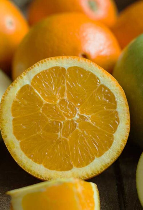 Understanding the Differences Between Succession and Inheritance