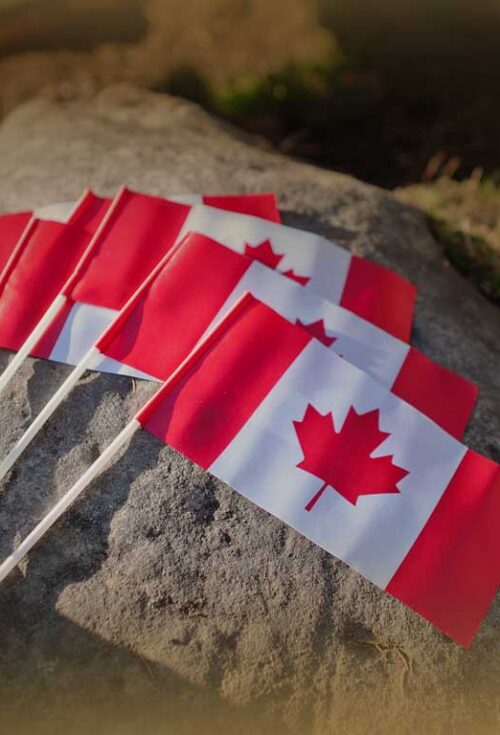 Navigating probate in Canada requires careful planning and attention to provincial laws. Learn how to handle probate in Canada, including costs, processes, and asset exemptions.