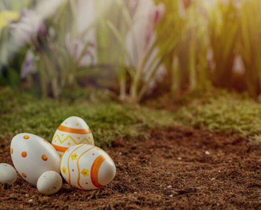 The history of estate planning includes some remarkably strange and fascinating bequests that challenge our understanding of inheritance law and human nature.