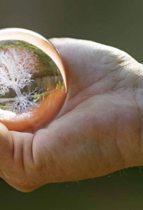 Estate planning is more than just drafting legal documents—it’s about preparing your loved ones for the future. The alternative—keeping plans under wraps—can leave loved ones unprepared...