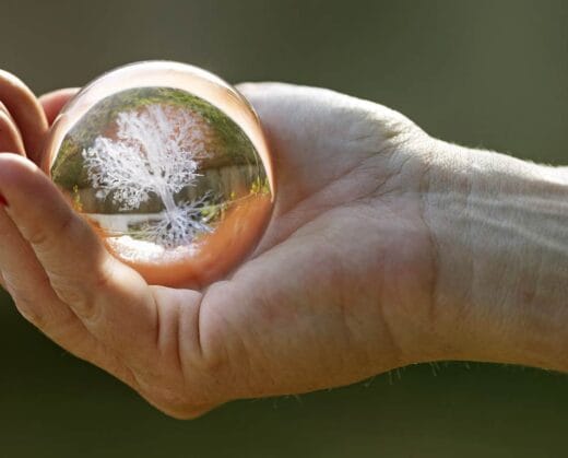 Estate planning is more than just drafting legal documents—it’s about preparing your loved ones for the future. The alternative—keeping plans under wraps—can leave loved ones unprepared...