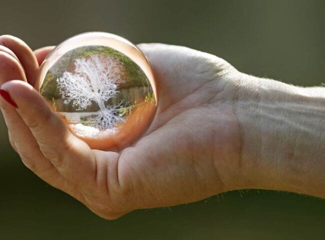 Estate planning is more than just drafting legal documents—it’s about preparing your loved ones for the future. The alternative—keeping plans under wraps—can leave loved ones unprepared...