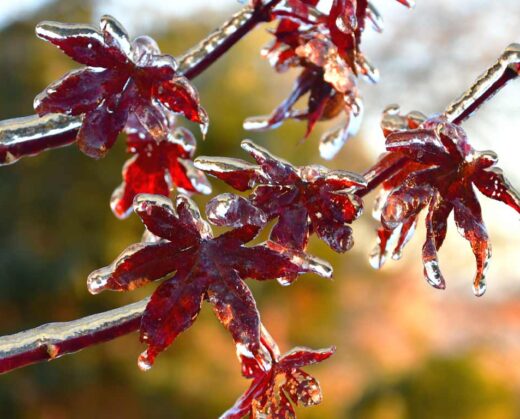 Almost half of all Canadians lack estate plans, leaving financial and medical decisions uncertain: Scotiatrust survey reveals gaps in wills and power of attorney documents, leaving key decisions unmade...