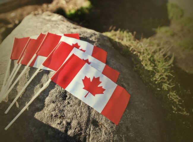 In Canada, inheritance laws are primarily governed by the provincial and territorial laws rather than a single federal law, as inheritance matters are under provincial jurisdiction. However, certain general principles apply across the country...