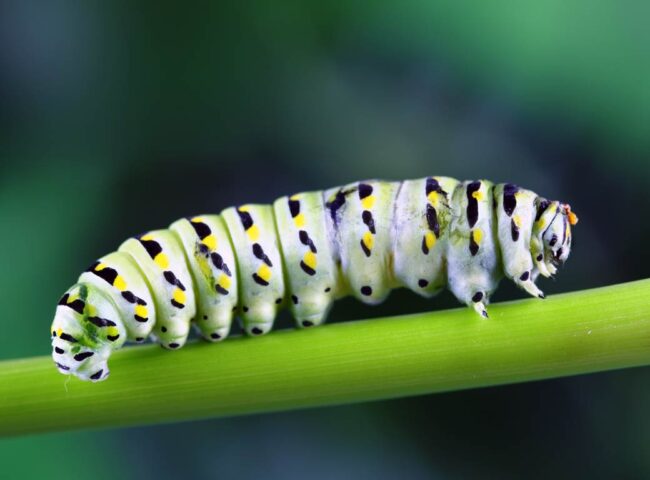 The future is unknowable, but centering your plan on your values and communicating regularly with your fiduciary and your family will set your family on the path to success.