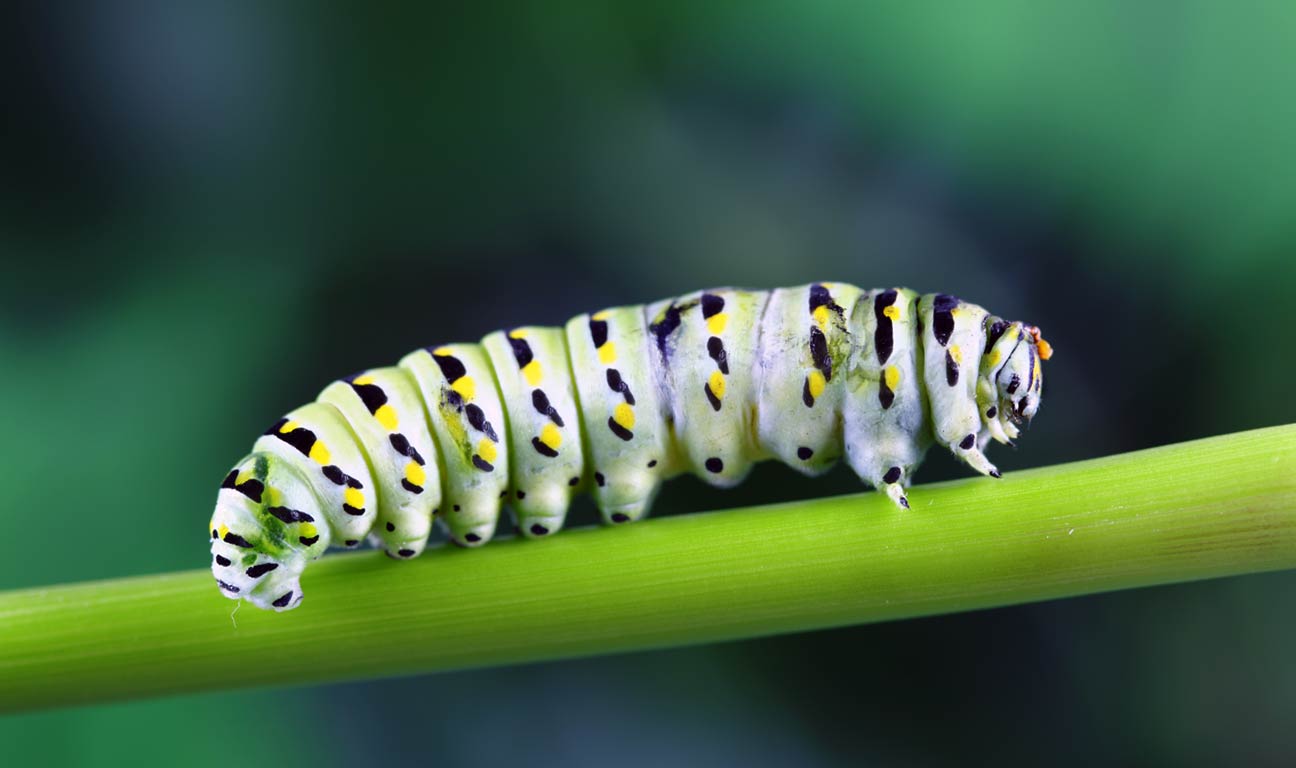 The future is unknowable, but centering your plan on your values and communicating regularly with your fiduciary and your family will set your family on the path to success.