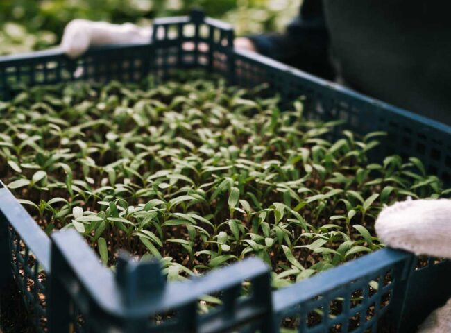 Charitable Giving: Legacy is More than What You Leave Behind