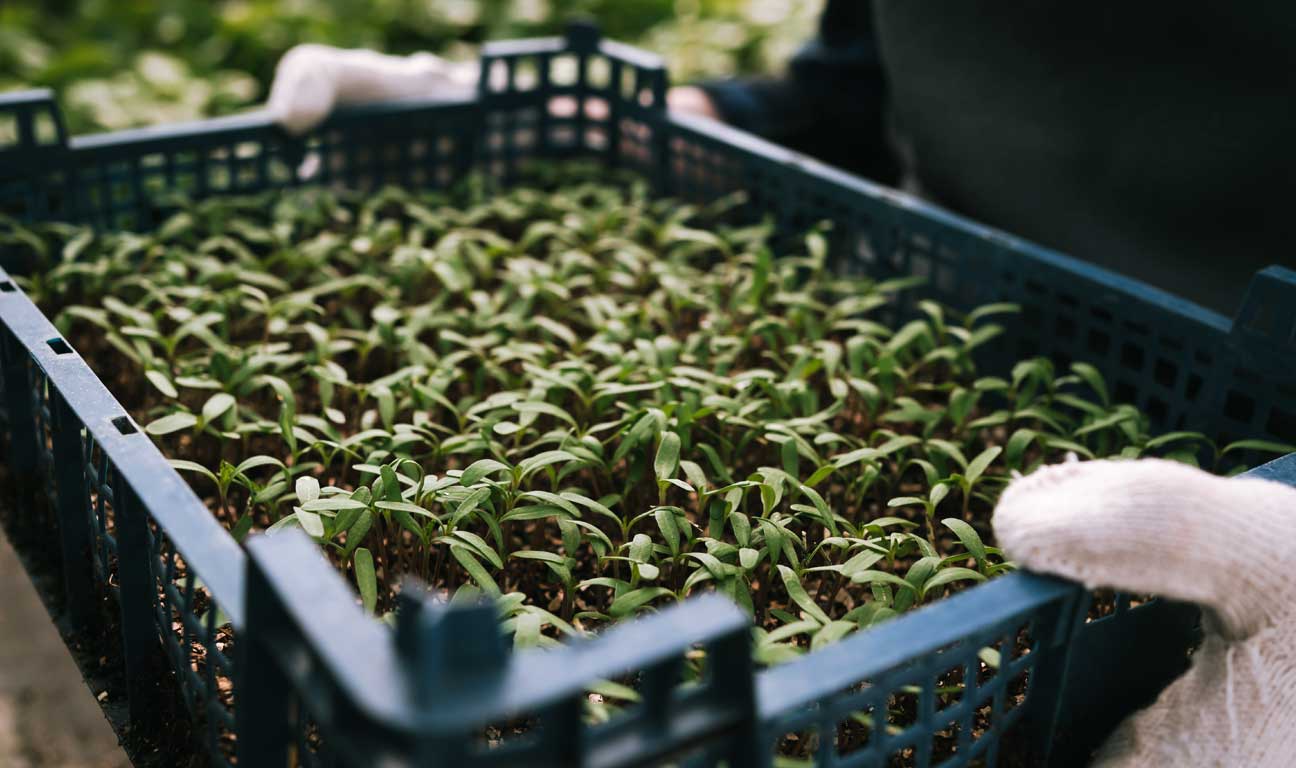 Charitable Giving: Legacy is More than What You Leave Behind