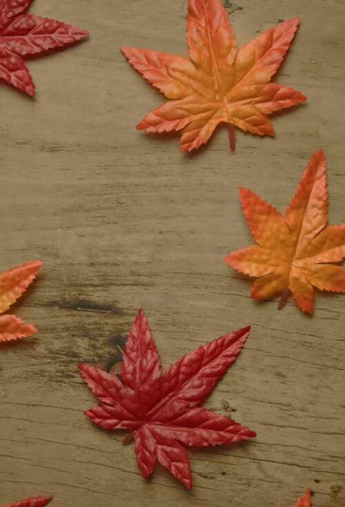 There’s a common myth that Canada doesn't have an inheritance tax, but before you start making financial plans or decisions, having the full picture is important. Whether leaving an inheritance or expecting to receive one, know the tax implications ahead of time.