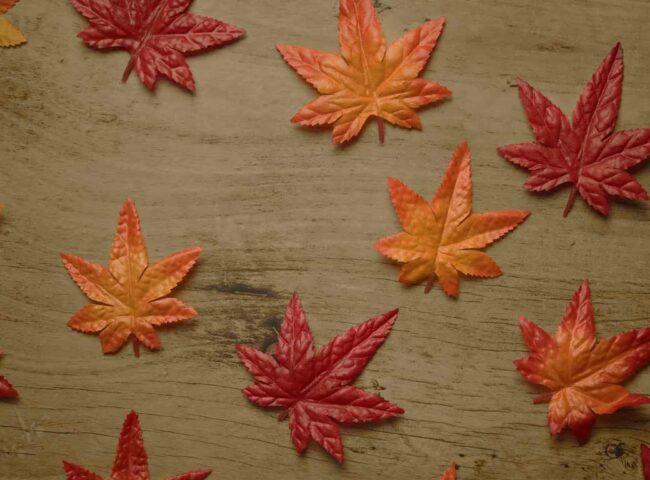 There’s a common myth that Canada doesn't have an inheritance tax, but before you start making financial plans or decisions, having the full picture is important. Whether leaving an inheritance or expecting to receive one, know the tax implications ahead of time.