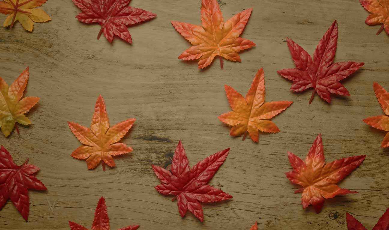 There’s a common myth that Canada doesn't have an inheritance tax, but before you start making financial plans or decisions, having the full picture is important. Whether leaving an inheritance or expecting to receive one, know the tax implications ahead of time.