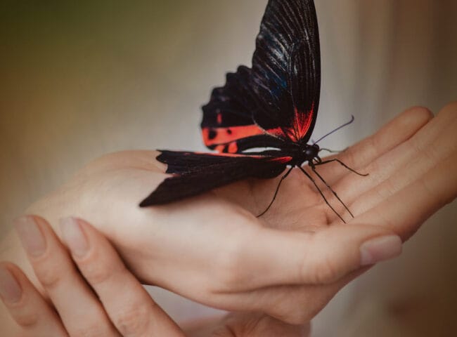 After years of advocacy, Delaware passes End-of-Life Options Law: Delaware has become the latest state to legalize medical aid in dying, following the signing of House Bill 140 on Tuesday, May 20th, 2025.