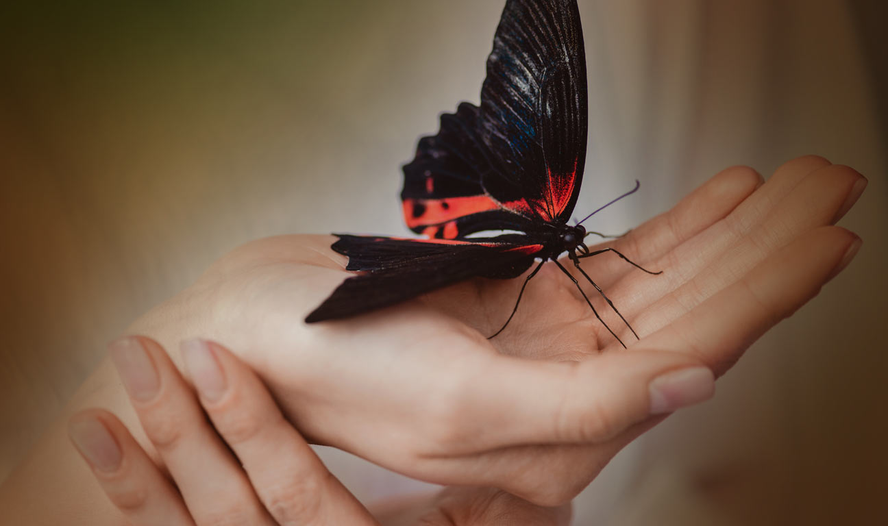 After years of advocacy, Delaware passes End-of-Life Options Law: Delaware has become the latest state to legalize medical aid in dying, following the signing of House Bill 140 on Tuesday, May 20th, 2025.