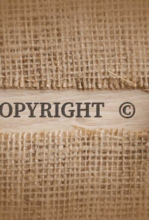 This article will discuss three of the main types of IP rights in Canada and explore why having a will is essential for dealing with IP after death and for safeguarding IP assets for future generations.