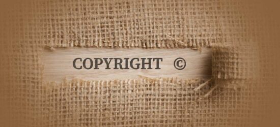 This article will discuss three of the main types of IP rights in Canada and explore why having a will is essential for dealing with IP after death and for safeguarding IP assets for future generations.