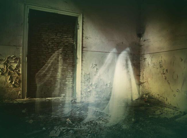 Passing down real estate to loved ones gets more complex when the property lies across international borders. Unlike domestic transfers, international real estate transfers involve navigating different legal systems, tax obligations, and reporting requirements. Luckily, there are legal structures and tax strategies that can minimize the complications and ensure that your property passes smoothly to your heirs.