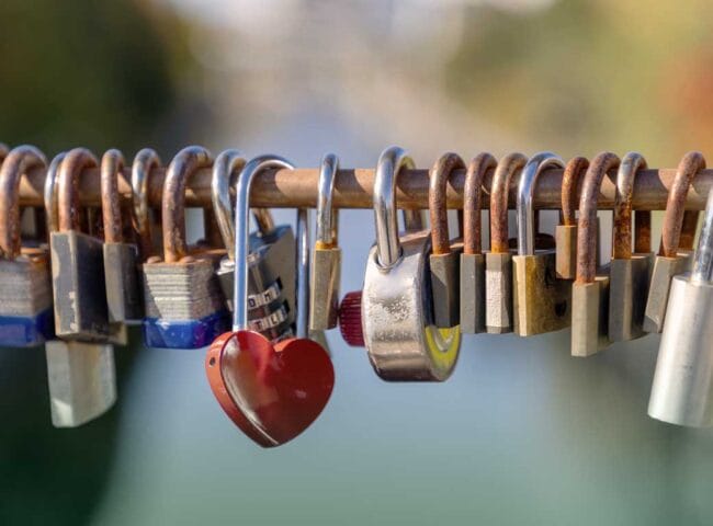 It's important to carefully consider who you appoint as your digital executor and to provide them with the necessary information to carry out their responsibilities. You may also want to provide instructions on how to handle your digital assets, such as which accounts should be closed, which information should be shared, and how digital property should be distributed. 