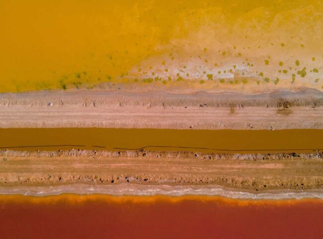 Kate Rothko Prizel, the daughter of renowned abstract artist Mark Rothko, once said being 19 was the worst year of her life. Still only a teenager, in 1970, Prizel was embroiled in a bitter legal battle with her father’s estate executors and the directors of the Marlborough Fine Art gallery.