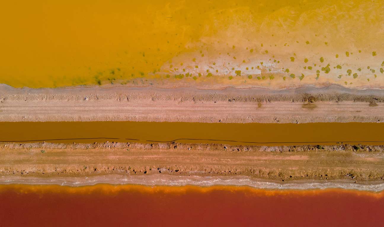 Kate Rothko Prizel, the daughter of renowned abstract artist Mark Rothko, once said being 19 was the worst year of her life. Still only a teenager, in 1970, Prizel was embroiled in a bitter legal battle with her father’s estate executors and the directors of the Marlborough Fine Art gallery.