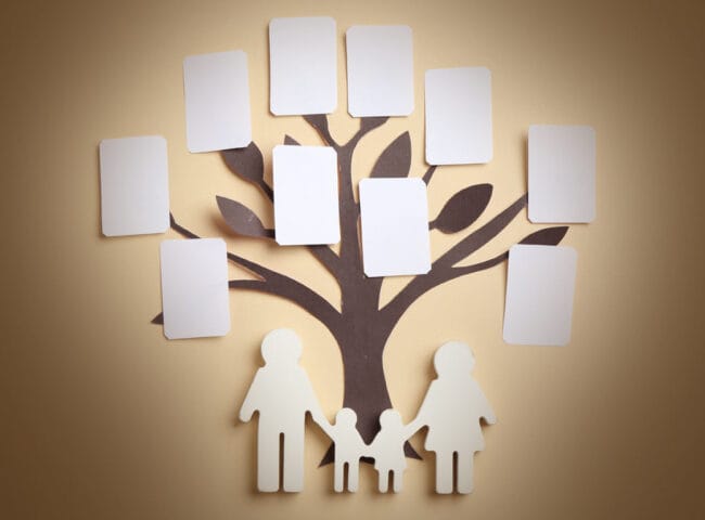 When we think of Family Business Succession, we tend to picture a smooth handoff. Yet, the reality is usually fraught with disagreements, financial strain, and even emotional burnout. It takes careful planning, open dialogue, and a willingness to adapt to keep a company running across decades.