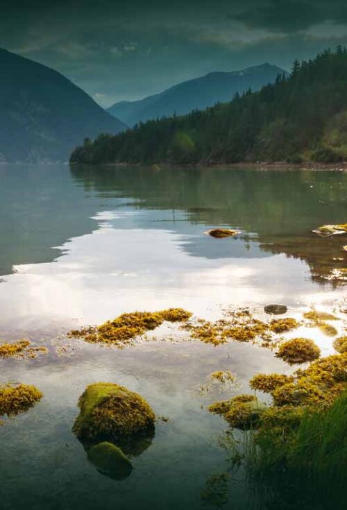 This article outlines the key estate planning laws you need to know in BC, including requirements for wills, powers of attorney, representation agreements, and probate procedures.