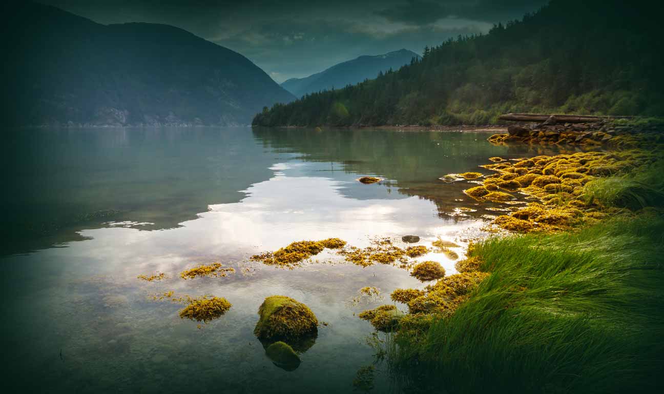 This article outlines the key estate planning laws you need to know in BC, including requirements for wills, powers of attorney, representation agreements, and probate procedures.